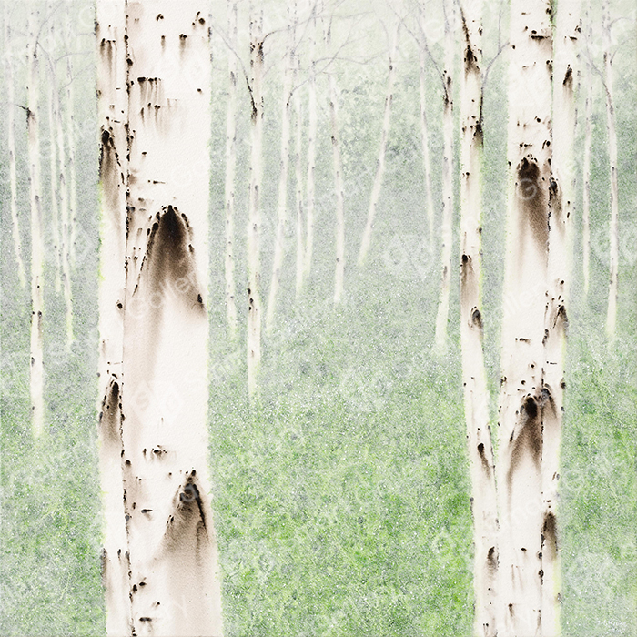 birch-white_soul._NO_01.jpg