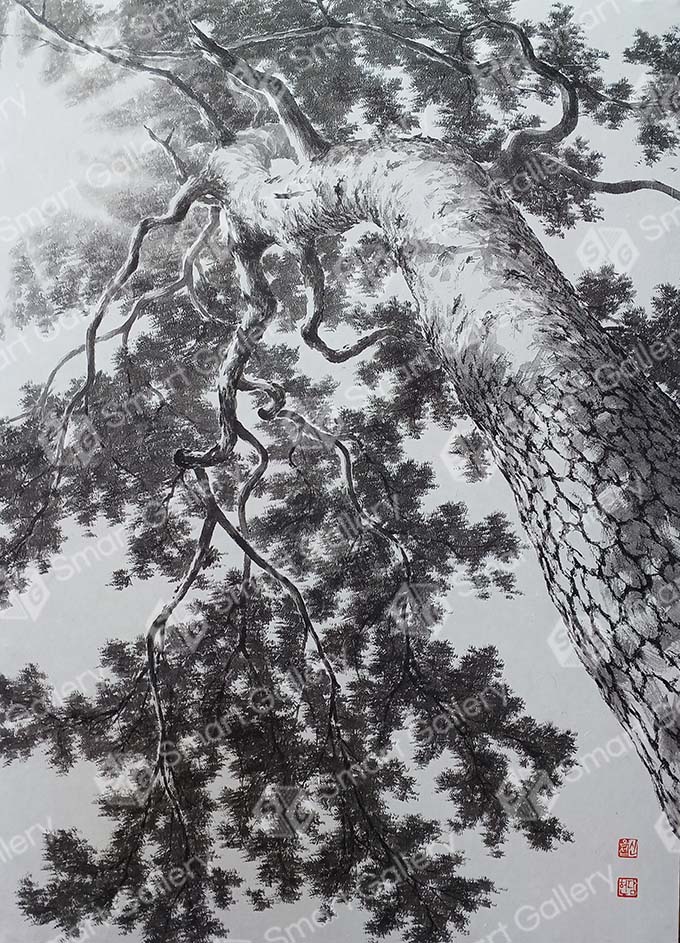 20호_pine_tree-올려보기_53x73cm_수묵담채_2022_7_web.jpg