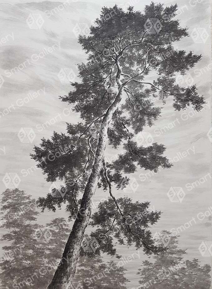 30호_pine_tree-올려보기_65x91cm_수묵_2020_10_web.jpg